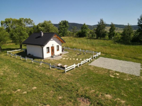 Bieszczadzka Zasadzka in Lipie